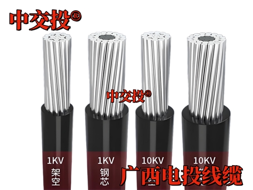 廣西農(nóng)村電網(wǎng)改造升級工程